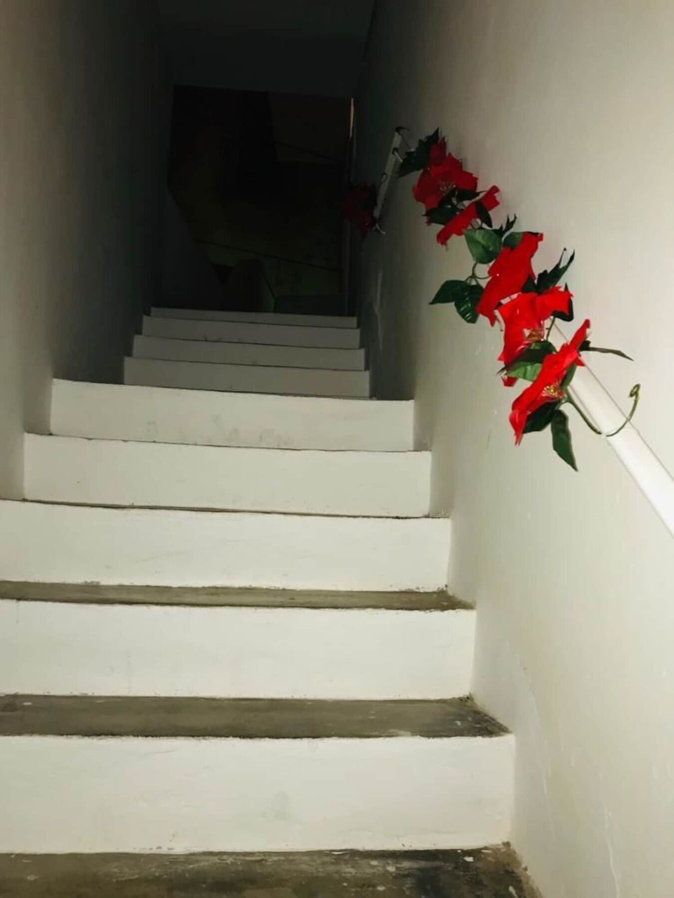 Bed and Breakfast Le Stanze Di Mavi Gravina in Puglia Exterior foto